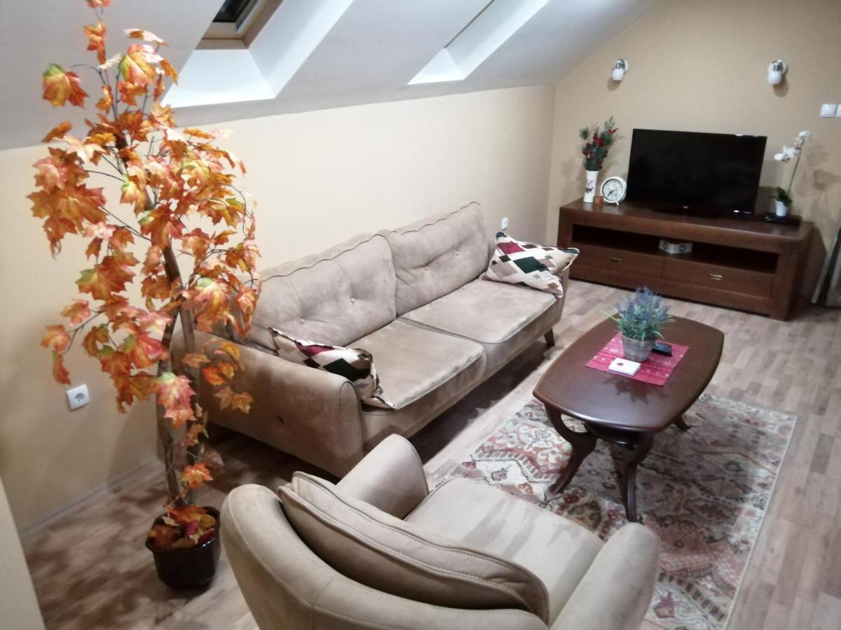 איווניצה Apartmani Milosevic מראה חיצוני תמונה